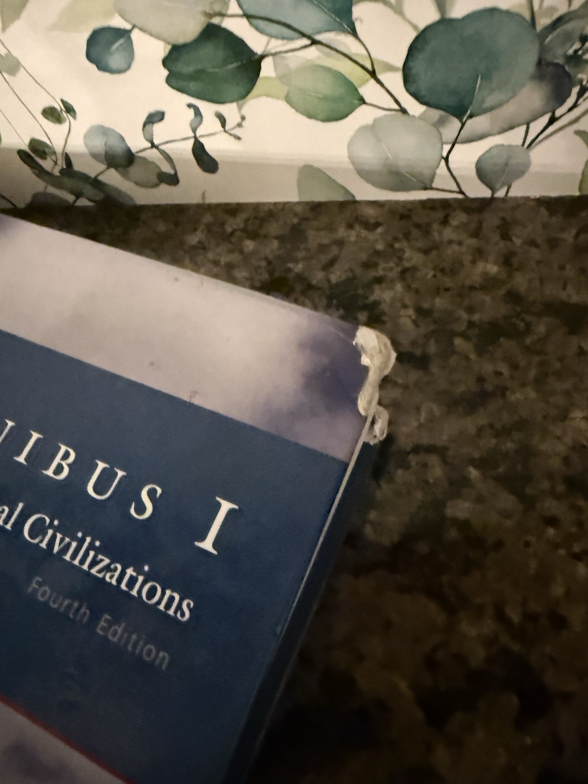 Omnibus I Biblical & Classical Civilizations 4th Ed Wilson Veritas Hardcover