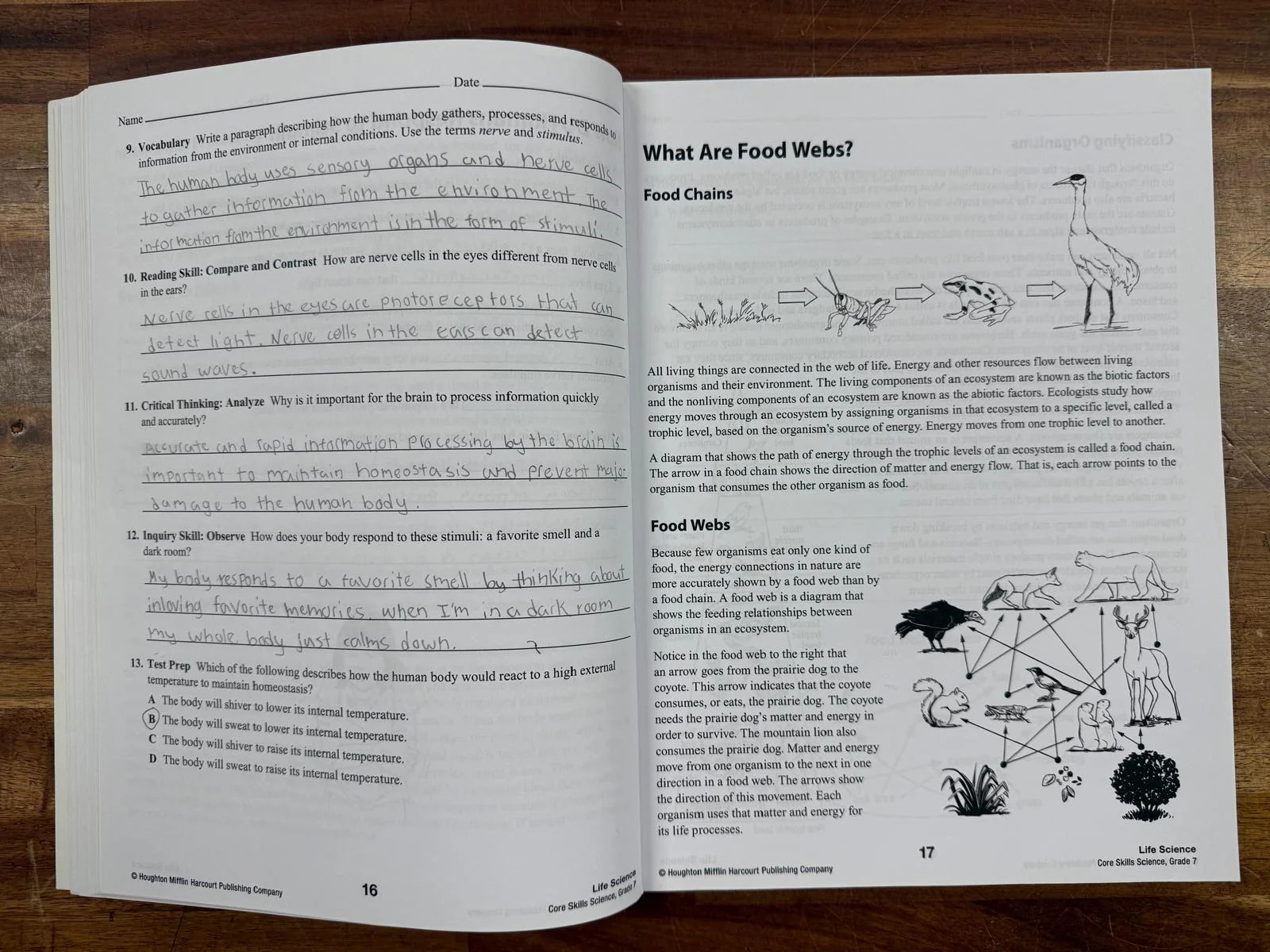 Core Skills Science Grade 7 – Steck-Vaughn (see description)