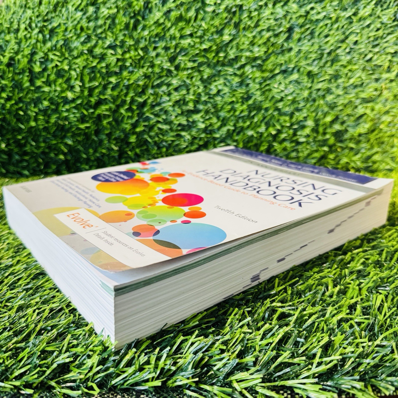 Nursing Diagnosis Handbook : An Evidence-Based Guide to Planning Care by Gail B.