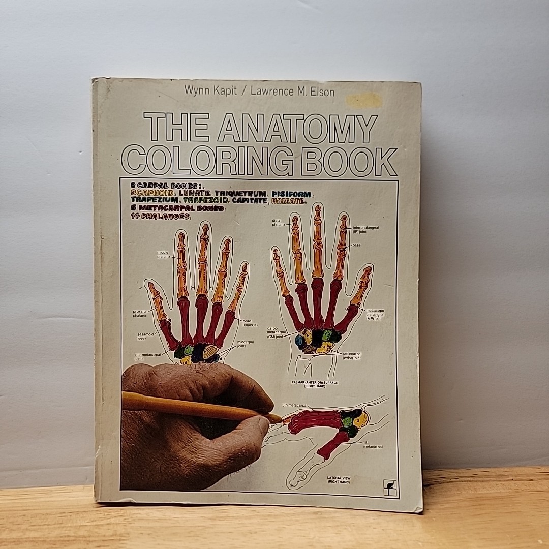 The Anatomy Coloring Book by Wynn Kapit and Lawrence M. Elson (1977) Clean Pages