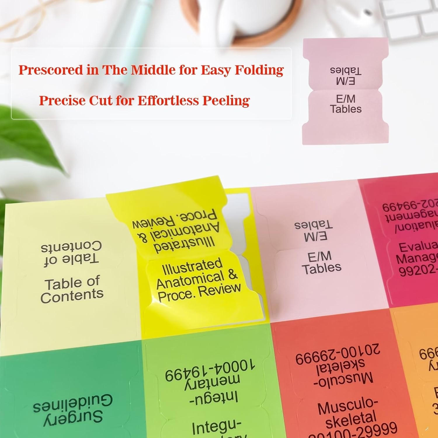Comprehensive 2026 CPT & ICD-10-CM Index Tabs – Easy Application & Repositioning