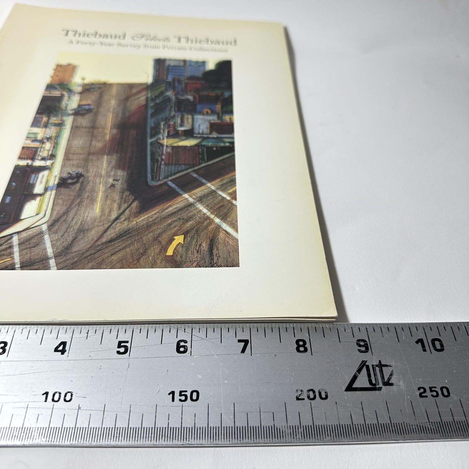Thiebaud Selects Thiebaud Book 40 Year Survey Private Collections Crocker Art