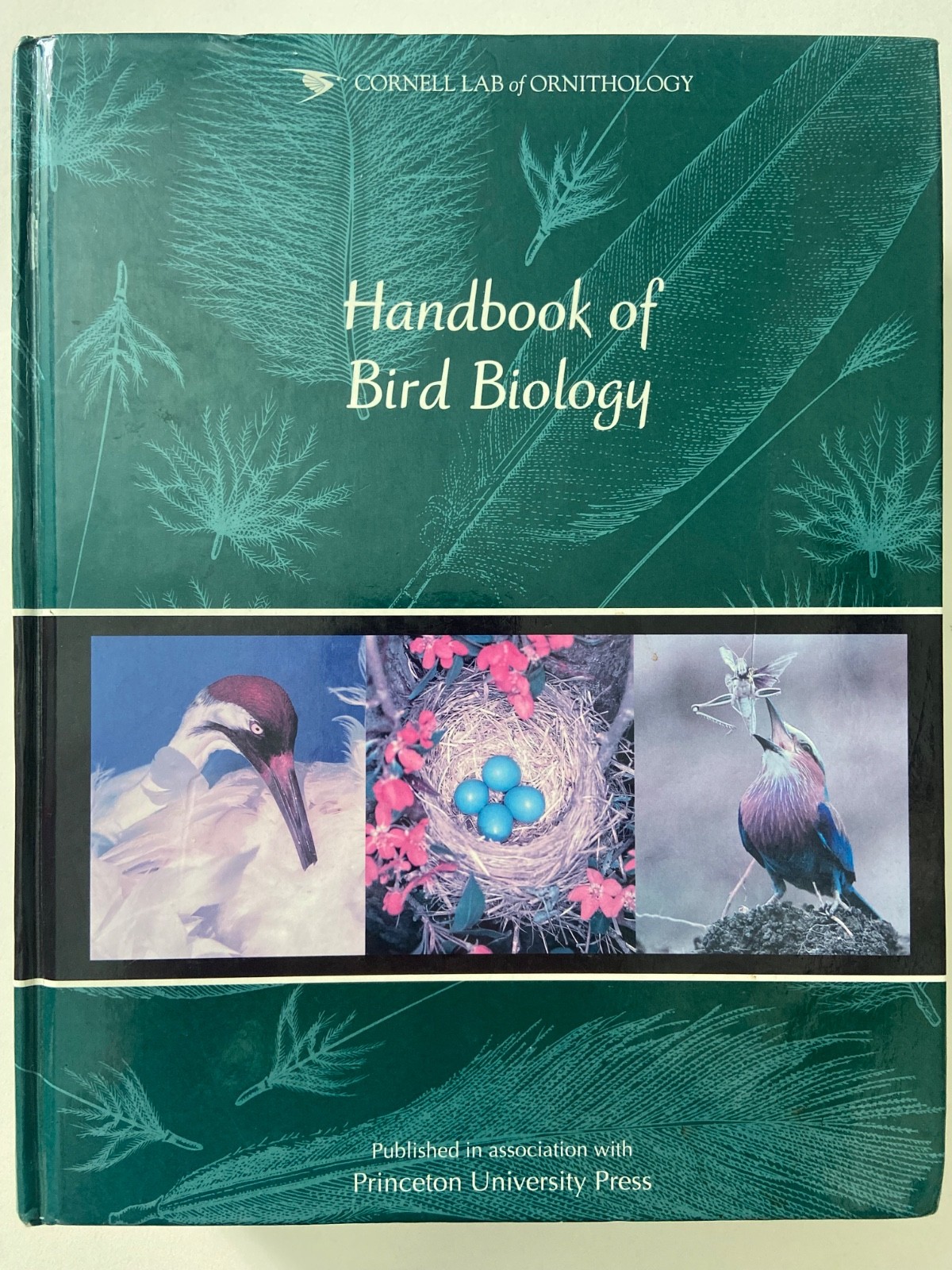 Cornell Lab of Ornithology Handbook of Bird Biology 2nd Ed w/ Audio CD-VERY GOOD