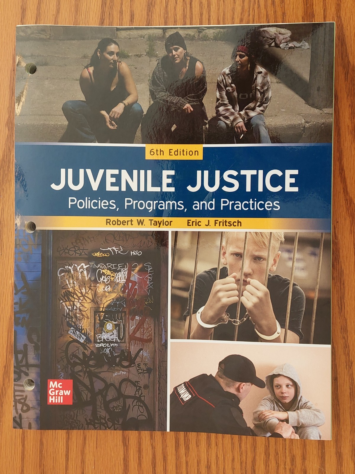 Juvenile Justice: Policies, Programs, and Practices 6th Ed. VG! Looseleaf Taylor