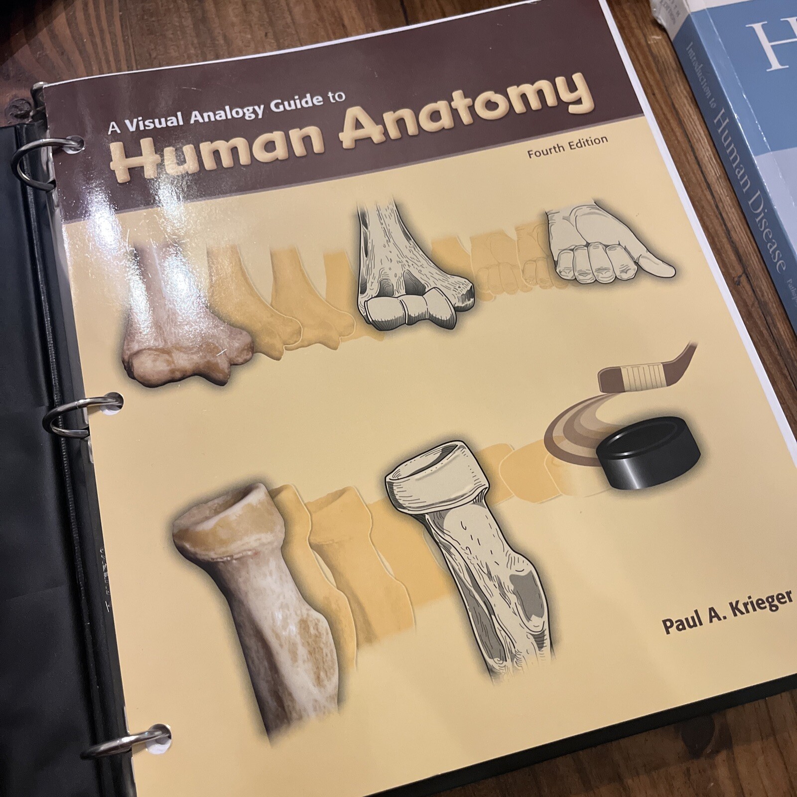 A Visual Analogy Guide to Human Anatomy and Physiology By Krieger Written In