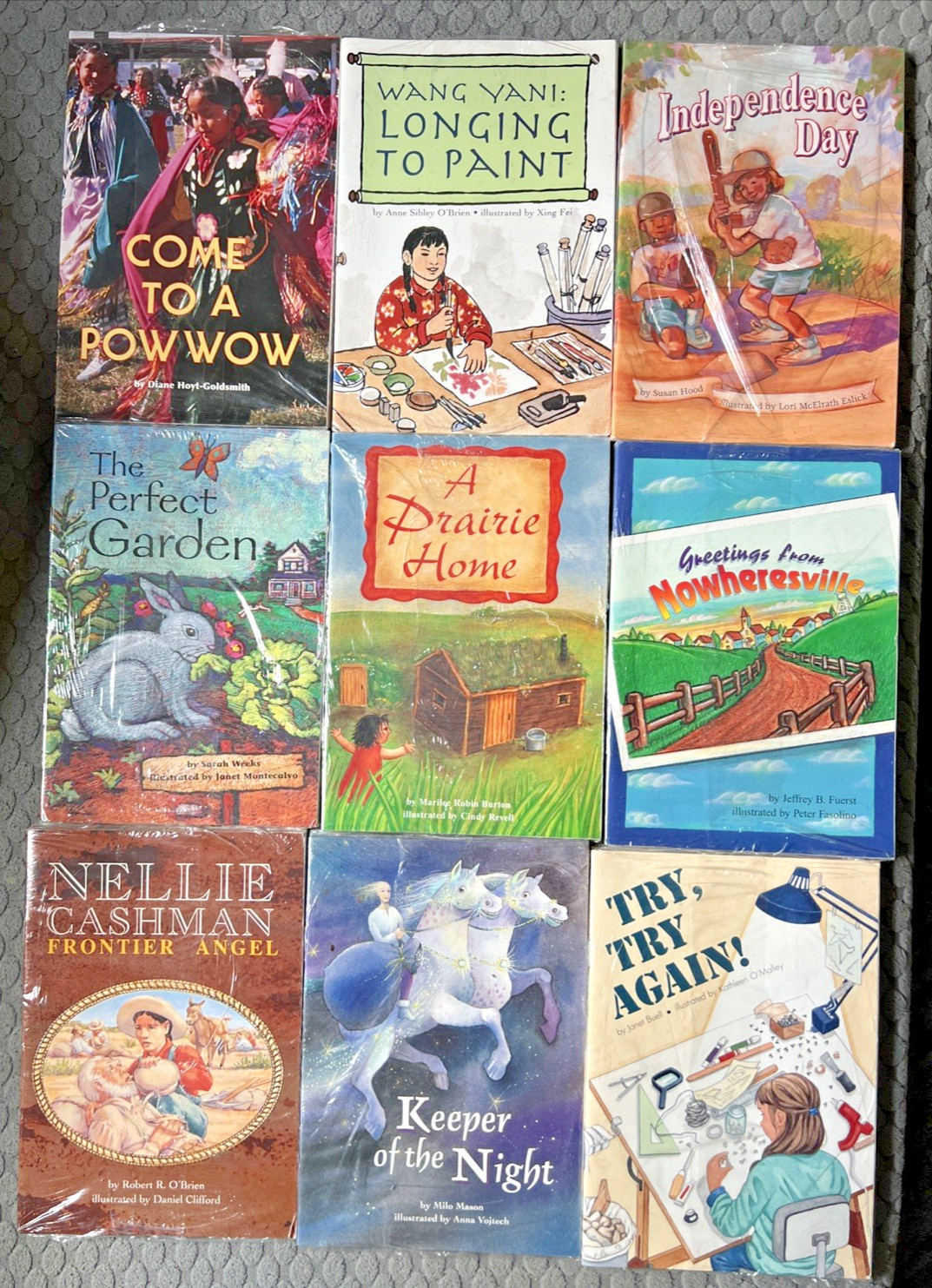 Lot Of 9 (6 Packs) Leveled Readers Pearson Scott Foresman 4th Grade Brand New Y