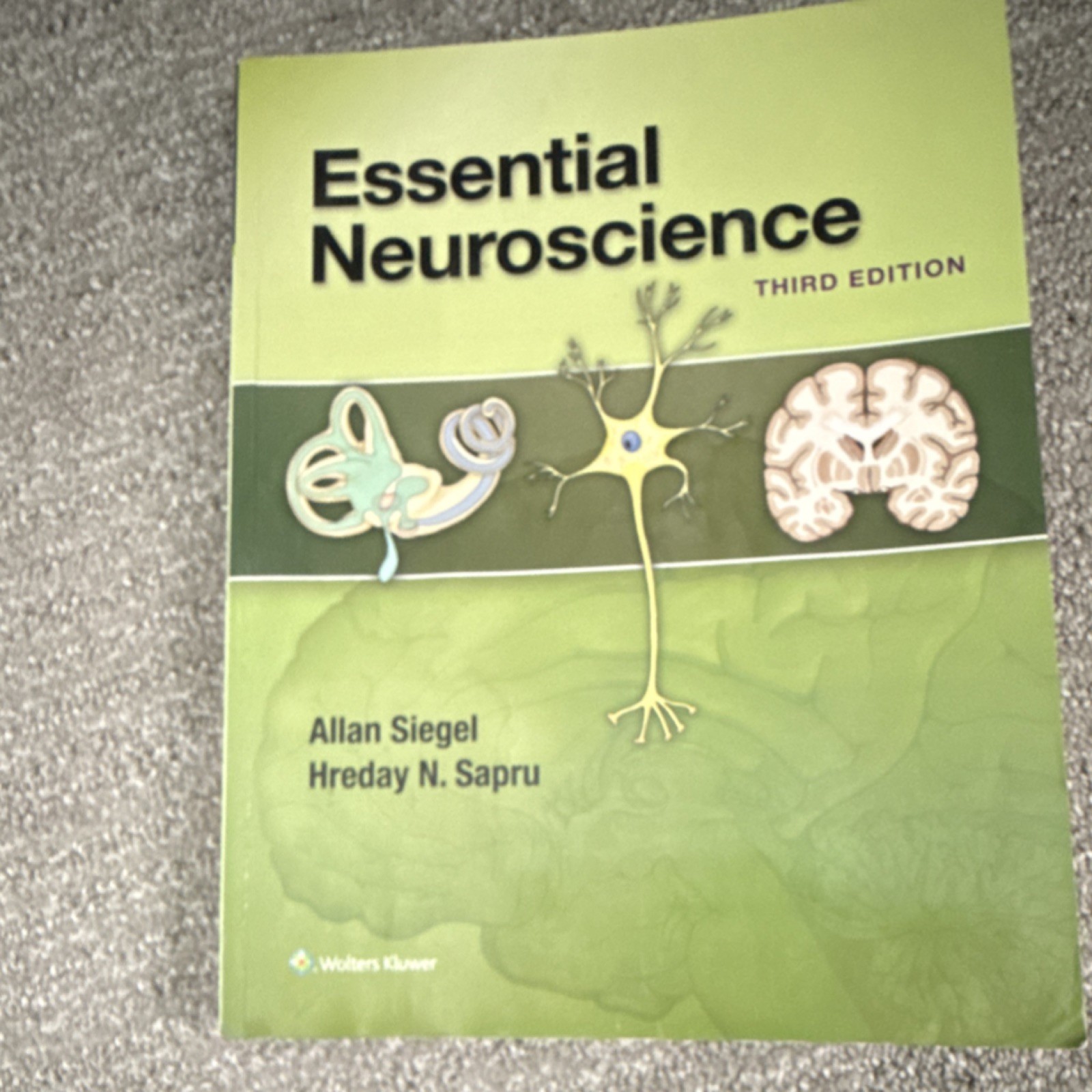 Essential Neuroscience Third Edition Siegel Sapru Wolters Kluwer Paperback