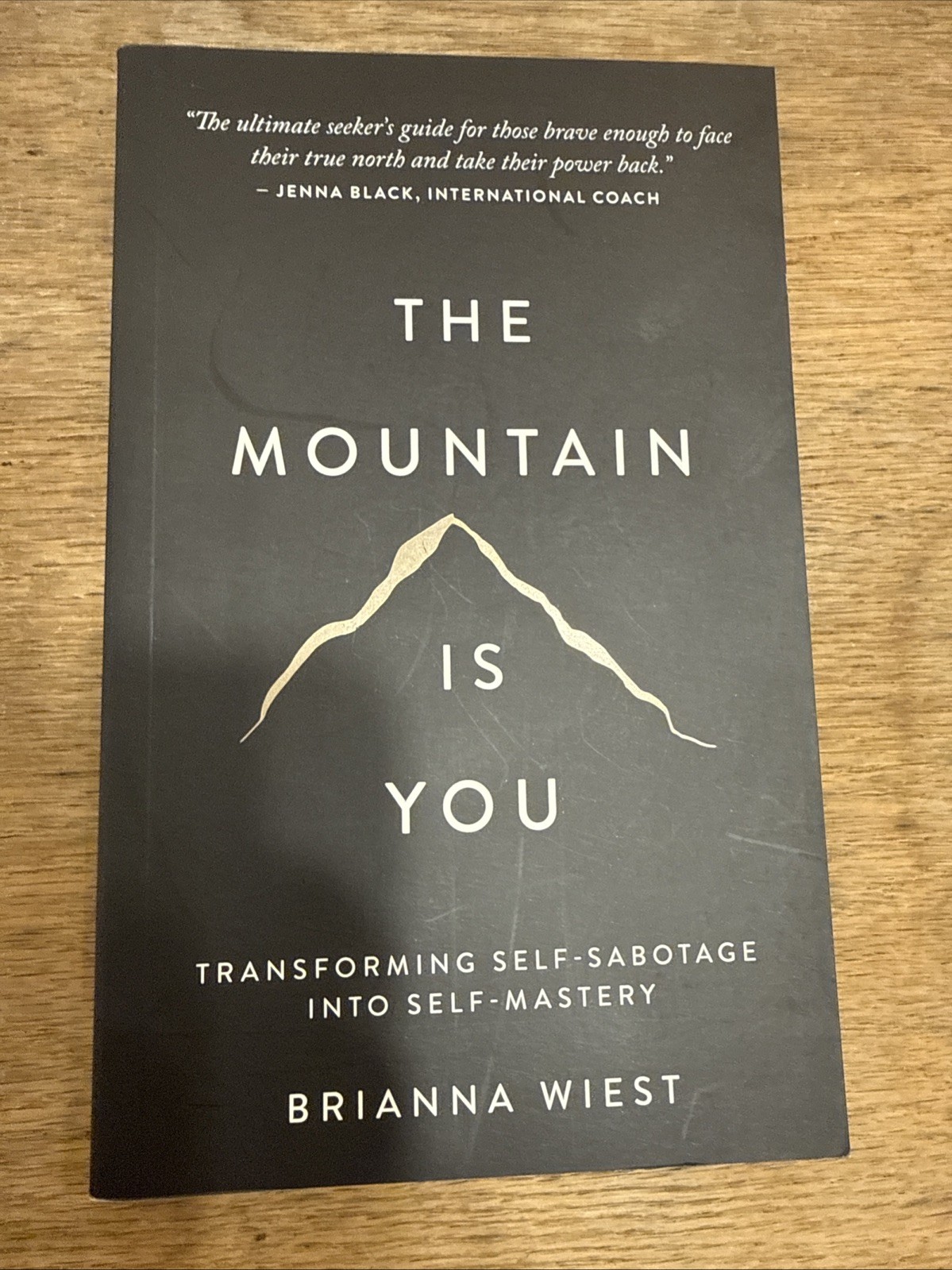 THE MOUNTAIN IS YOU BY BRIANNA WIEST – NEW