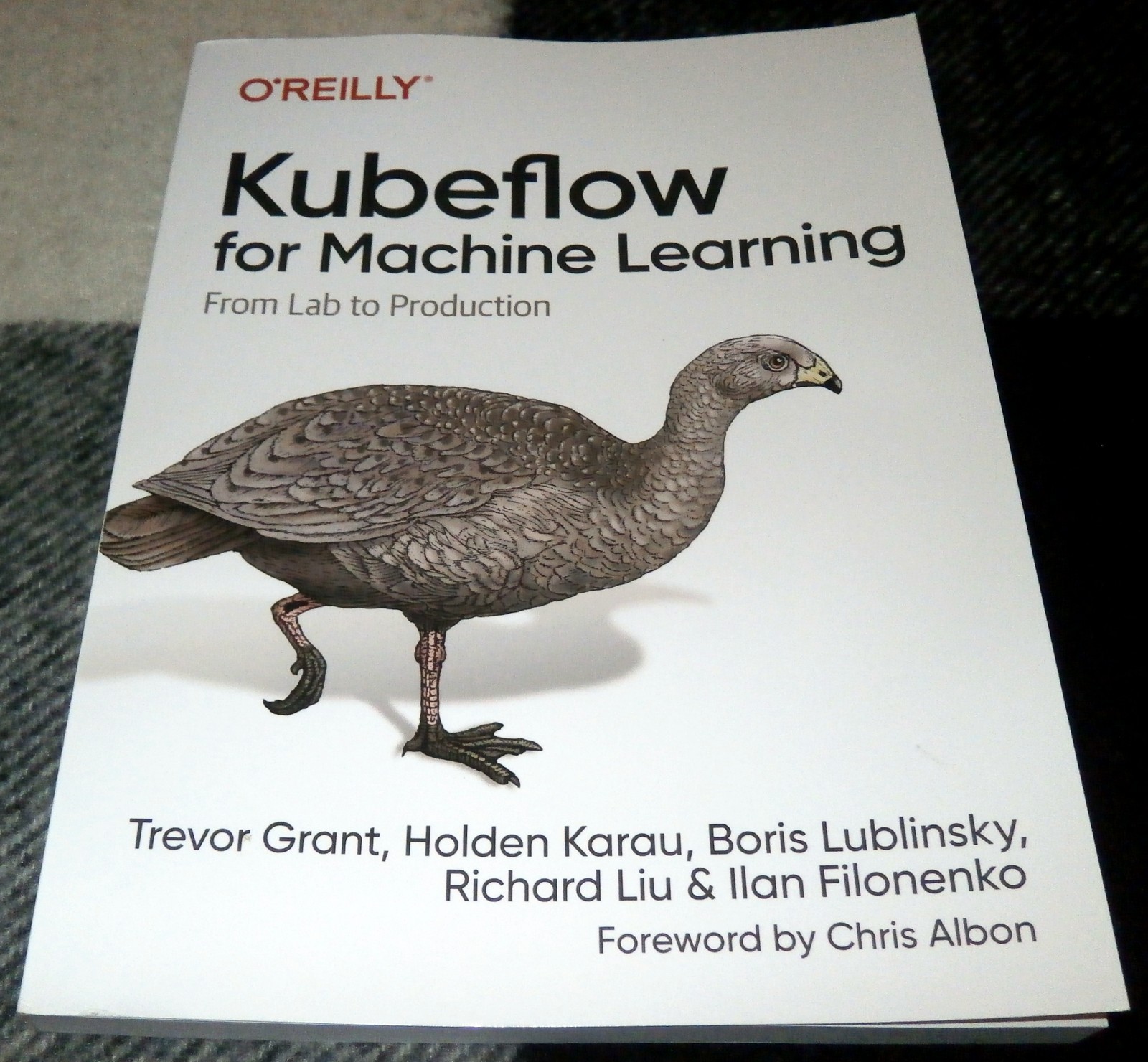O’ Reilly Kubeflow for Machine Learning | GREAT Condition | Fast Shipping!